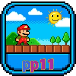 pp11